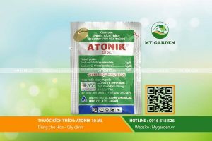 phân bón kích thích tăng trưởng Atonik nảy mầm và ra rễ