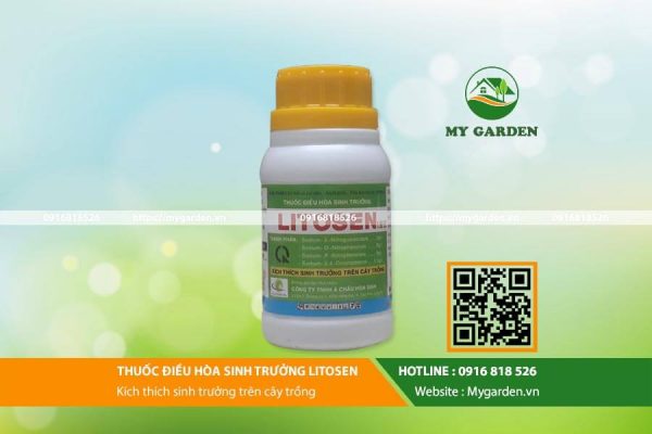 Litosen-mygarden-0916818526-hinh-1