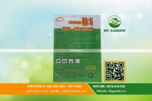 Phan-bon-Vitamin-B1-goi-mygarden-0916818526-hinh-2