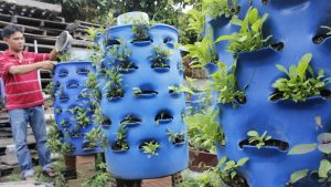 trồng rau sạch từ rác hữu cơ