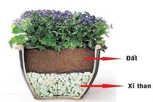 Trồng rau sạch bằng xỉ than