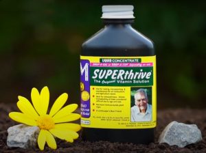 Phân bón Superthrive