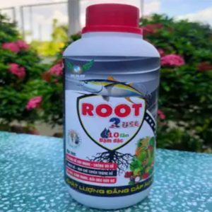 Phân bón root 2
