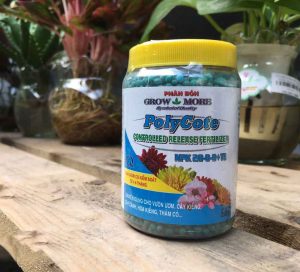 Phân bón grow more