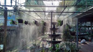 he-thong-tuoi-san-vuon