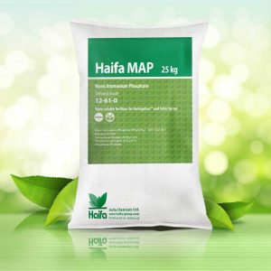 Phân bón MAP