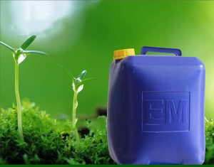 Chế phẩm EM gốc