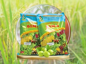 Chế phẩm sinh học Trichoderma