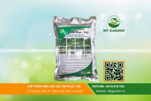 che-pham-sinh-hoc-tot