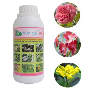 dịch trùn quế cho cây trồng