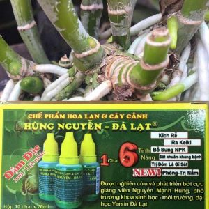 Chế phẩm kích rễ