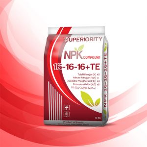 Phân bón 16-16-16