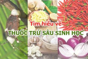Thuốc trừ sâu sinh học