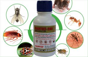 Mua thuốc diệt côn trùng ở đâu giá tốt, chất lượng, hiệu quả?