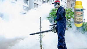 Tổng hợp những loại thuốc diệt côn trùng hiệu quả