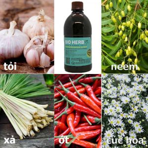 thuốc trừ sâu thảo mộc